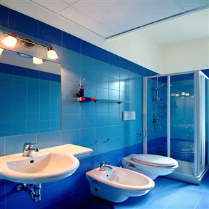 Blue Apartment Bathroom