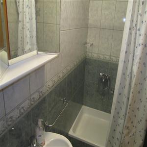Ap. no.2 (3+1) bathroom