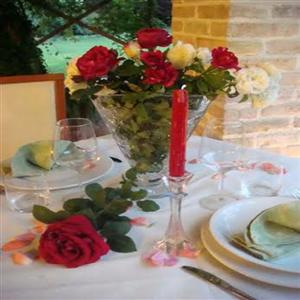 Outdoor Table