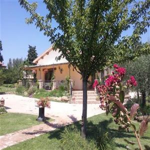 Rear View Restaurant