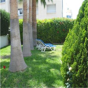 Retreat under palm trees