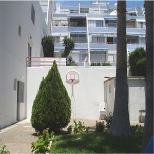 Basketball "court"