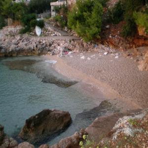 Beach View