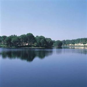 the lake