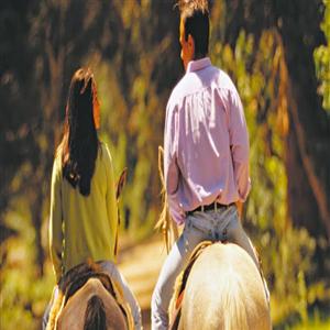 horse ridding