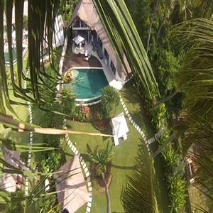 From the top of our coconuts