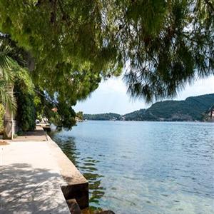 Place under the trees for swimming and sunbathing