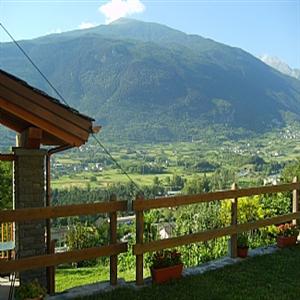 View from the garden