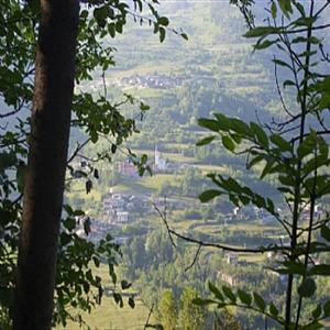 Walking locally