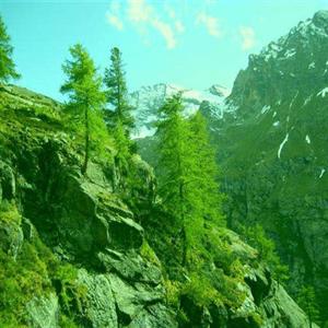 Walking up to Rifugio Vittorio