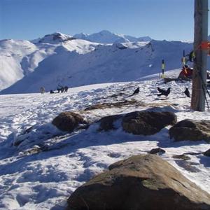 The top of the mountain!!