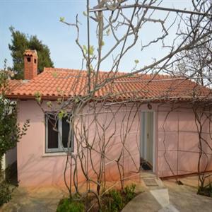 Apartment A2 +2 (b)