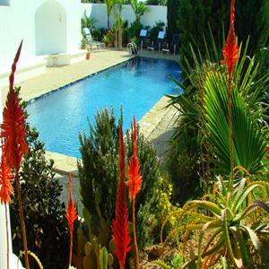 Overlooking the pool