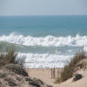 Dunes and beach