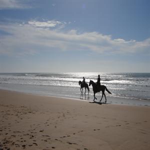 Horseback riding on the beach