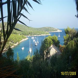 View from the terrace