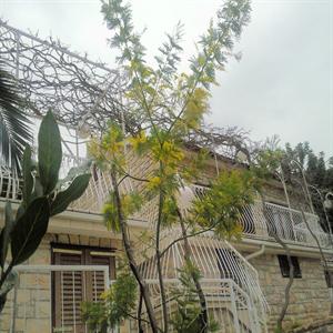 House front