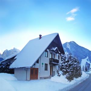 View in Winter