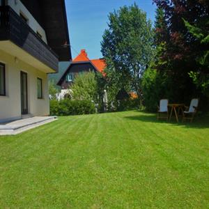 Lawn