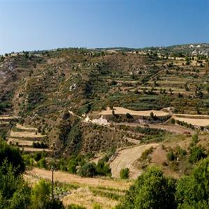 stunning hill views