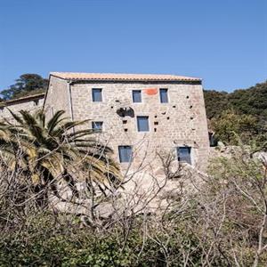 frontage