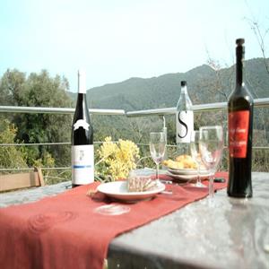 a quiet place to have lunch