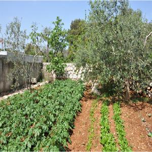 Bio garden