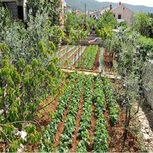 Bio garden