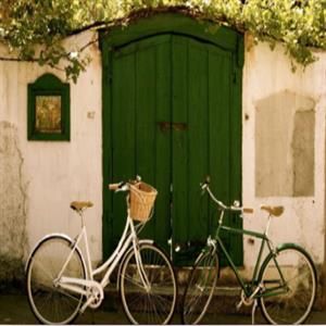 Bicycles for free use
