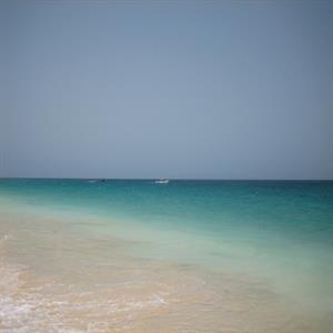 Nearby Beach Ponta Preta