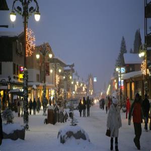 Winter Night