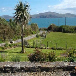 View of Garden