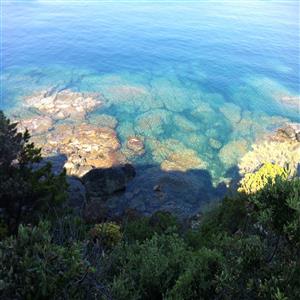 sea
