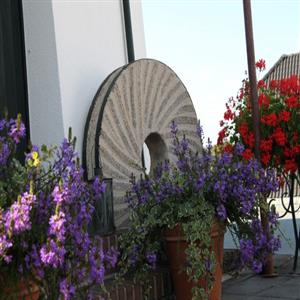 Millstone from 1880