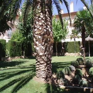 Shared garden