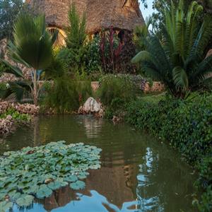 Sunset Cottage
