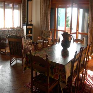 Ermellino 46