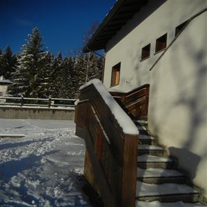 Ermellino 48