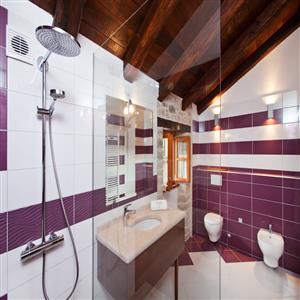 Villa Poropati, Groznjan, Istria - Bathroom