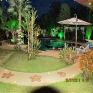 Night view of the garden