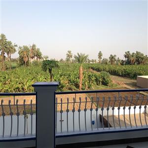 view towards East (Nile and Luxor City)