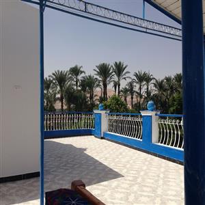 roof terrace / view towards West (Valley of the Kings