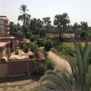 view towards East