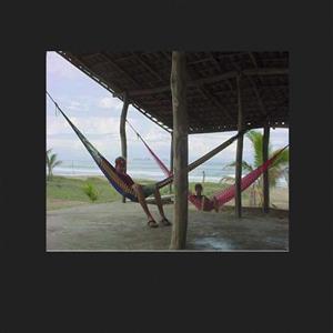 hammocks