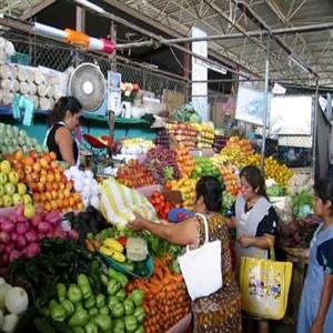 Local market – within walking distance.