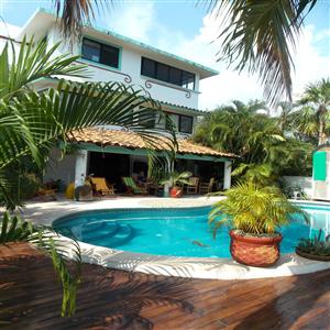 Deck and pool area.