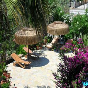 Pool terrace with sunbeds and parasols