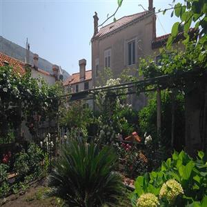 Family House Fascination Dubrovnik: Garden