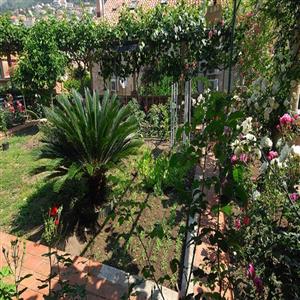 Family House Fascination Dubrovnik: Garden