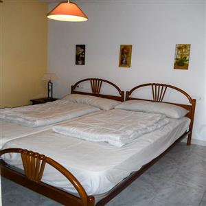 Camelia 5
